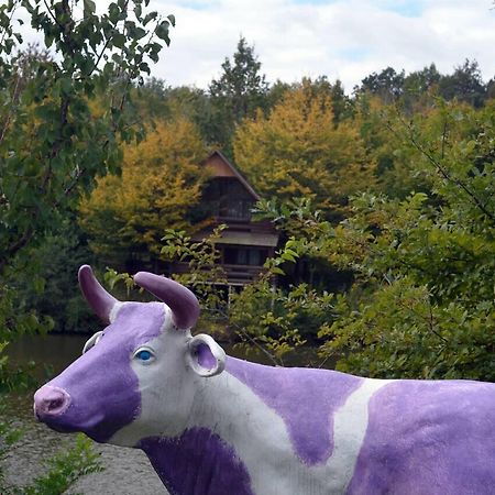 Rancho 555 Vendégház Ungvár Kültér fotó