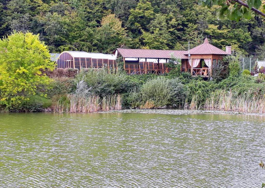 Rancho 555 Vendégház Ungvár Kültér fotó